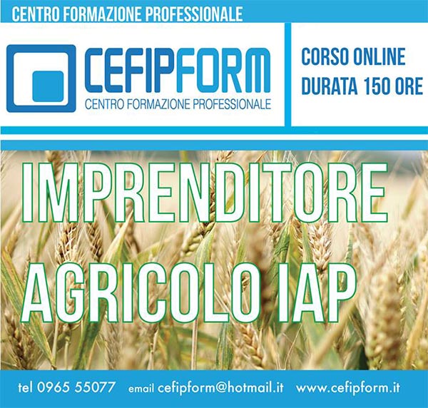 Corso IAP Online